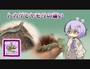 【ゆかレプ】トカゲとヤモリ【結月ゆかり】