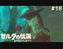 デートで現地集合してそう【ゼルダの伝説 ブレス オブ ザ ワイルド⑱】