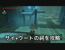 【ゼルダの伝説BotW】サイ•ウートの祠攻略！傾きを止めるもの