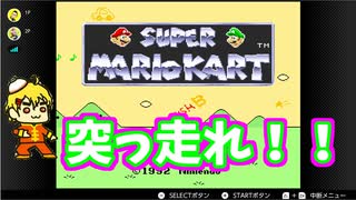 流行ってるよね？マリオカート二人で実況プレイ