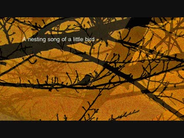 【solo piano】 A nesting song of a little bird