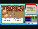 ポケモンレンジャー　フィオレ地方 活動報告書 03
