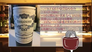 【ワイン紹介④】テラノブレ カルメネール2018グランレゼルヴァ【初心者】