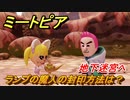 ミートピア　ランプの魔人の封印方法は！？地下迷宮へ　＃２５【Miitopia】