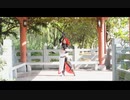 【狸喵】千年 SING【HB to白白】【踊ってみた】