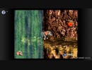 【スーパードンキーコング3】BGM 滝ステージ 【30分耐久】
