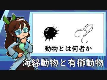 シリーズ動物：海綿動物と有櫛動物