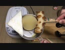 スペシャルなおでん作ってみた