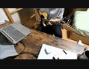 【つくえの】Neru 豚になってyeah yeah feat. Kagamine Len ギター 弾いてみた【比率よ】