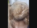 PEOPLE with Very MATTED TANGLED KNOTTY DREADLOCKS in HAIR  WANTED