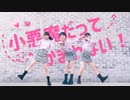 小悪魔だってかまわない！　踊ってみた【木木蛋散】