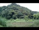 【がきおやじ】憂いの涙
