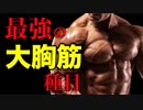 【筋トレ】大胸筋を鍛えるのに最も効果的な種目【ビーレジェンド プロテイン】