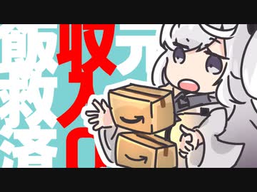 元収入0アリアルの飯、救済