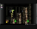 【2人実況】Donkeyを取り戻せ！懐かしのスーパードンキーコング２(24)【ニコ生映像】