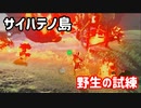 【ゼルダの伝説BotW】サイハテノ島で野生の試練に挑戦！