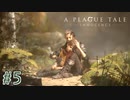 【実況】絶望の淵で生き延びる-part5-【A Plague Tale: Innocence】