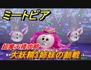 ミートピア　超摩天楼攻略　大妖精３姉妹の顔戦　＃７７【Miitopia】