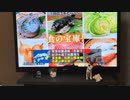 [緊急地震速報]SUN-TV サンテレビジョン
