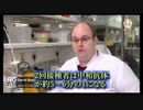ファイザーワクチン2回接種後に中和抗体が約5分の1に低下が研究者により証明された。