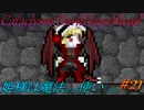 【Cataclysm:DDA】姫様は魔法使い#21