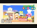 【実況】みんなあつまれ どうぶつの森 #102
