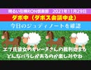 1129□ジーマミ豆腐_ギレーヌ裁判_ポンペオさん来る？_ダボス会議中止？_眠いので終了？_□引棒RON倶楽部 2021