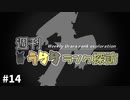 【ポケモン剣盾】週刊うららランク探訪#14【バシャーモ】