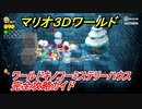 【マリオ３Ｄワールド】キノコーミステリーハウス（ワールド１０）攻略ガイド！
