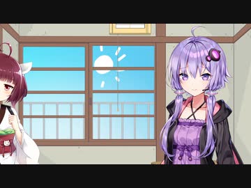 1月20日 二十日正月