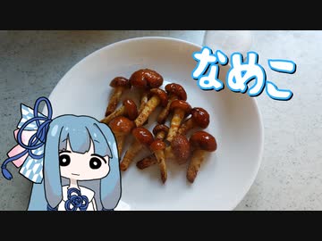 【A.I.VOICEキッチン】育てたキノコを食べる葵ちゃん　リターンズ