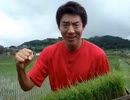 マツオの鐘