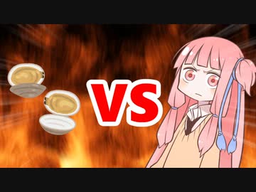 茜ちゃんVSアサリ