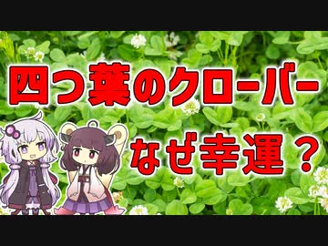 【雑学】四つ葉のクローバーはなぜ幸運の象徴なのか【VOICEROID解説】