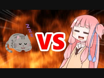 茜ちゃんVSねこ