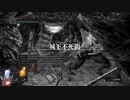 【MOD】ちょっとおかしなダークソウル part1【DARK SOULS】