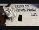 愛猫を撮影するためにXperia PRO-Iを購入しました。