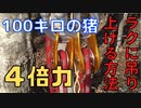 １００キロの猪をラクに吊り上げる方法