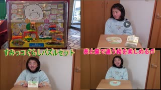 【遊んでみた】ハッピーセット：すみっコぐらしパズルセット（とかげ）を作るあい❤不器用すぎる…