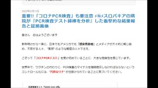 スロバキアでのPCR検査用綿棒の分析ｰ大量虐殺の構造１