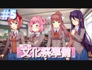 これは恋愛・・・いえ、ドキドキです#5『ドキドキ文芸部プラス！』