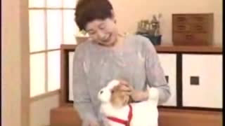 てつがいないと寂しいよ～