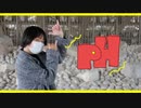 【猫猫】p.h. 踊ってみた 【初投稿】