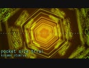 【NNIオリジナル】pocket size trial