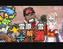 【ポケモン剣盾】そら×ついの色違いガラル旅～雪原の雪を解かす漢～partDLC-4