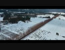 【4K Mavic3】冬の絶景 メタセコイヤ並木をシネマティック空撮！ドローン空撮!!