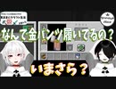 【Minecraft】気ままにクラフト生活 #17【バージョン1.17.1】【きまくら】