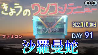 きょうのワンコンテニュー『沙羅曼蛇』