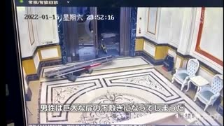 高級マンションの扉が外れて男性が下敷きに