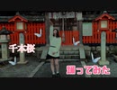 【アイドル】千本桜　踊ってみた【黒田なつ】